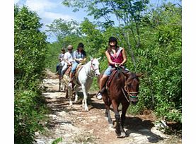 Head out into the mystic jungles of the Mayan Riviera on horseback and admire the tropical vegetation, exotic animals and the native tropical birds that live within these ancient surroundings.