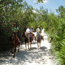 Unbranded Horseback Riding In The Jungle from Riviera Maya