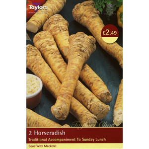 Unbranded Horseradish Roots