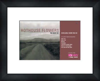 Unbranded HOTHOUSE FLOWERS