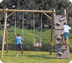 Houtland Double Swing & Climbing Wall