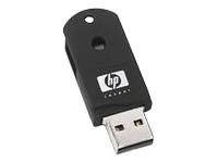 Unbranded HP USB flash drive - 1 GB