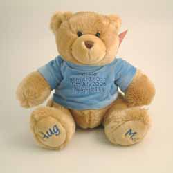 Hug Me Bear Blue Jumper