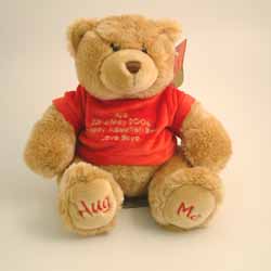 Hug Me Bear Red Jumper