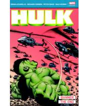 Hulk: Banner & The End