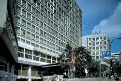 Unbranded Husa Princesa