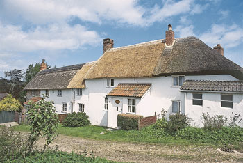 Unbranded Hydrangea Cottage