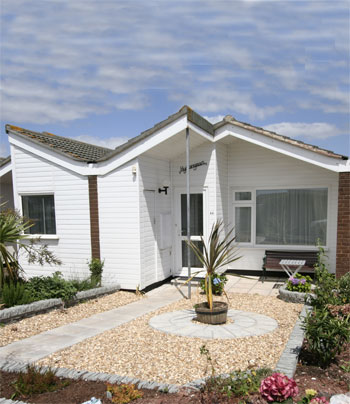 Unbranded Hydrangeas