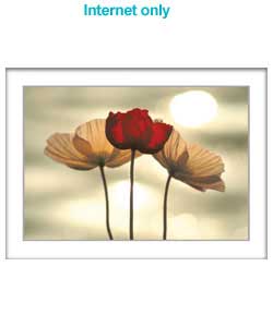 A perfectly balanced photographic print of light filtering through Icelandic poppies. Artist Info: B