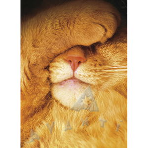 Unbranded If You Cant Stand The Heat Step Away From The