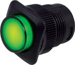 Illuminated Locking Push Switch ( Red IL Lk Push