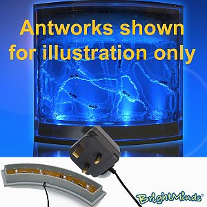 Unbranded Illuminator for Antworks