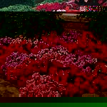 Unbranded Impatiens Expo Mixed F1 Seeds