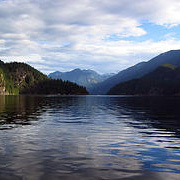 Indian Arm Lunch Cruise - Adult