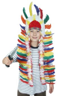 Indian Head Dress Sitting Bull