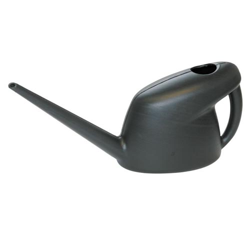 Unbranded Indoor Can