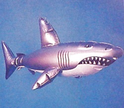 Inflatable Shark - 70cm