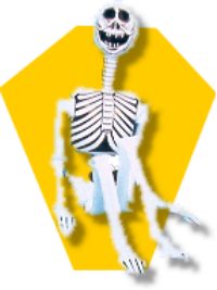 Inflatable Skeleton