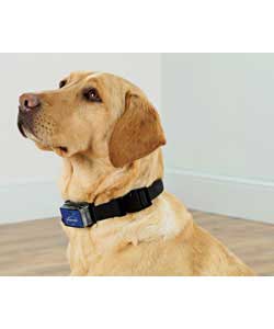 A harmless burst of spray from this collar conditions your dog to stop excessive barking.Polypropyle