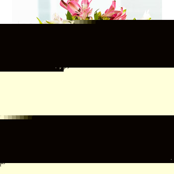 Unbranded Inspirational - flowers