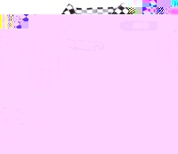 Unbranded Instant W.P.C Kit with Handcuffs