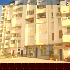 Unbranded Intercentro Algarrobo