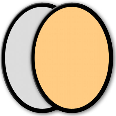 Unbranded Interfit 12 inch Silver / Gold Reflector