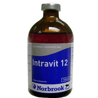 Unbranded Intravit B12 Injection (100ml)