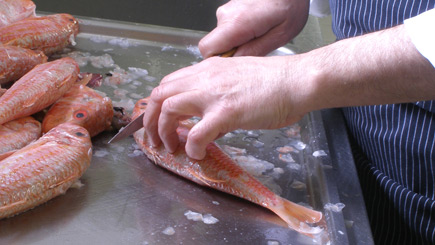 Unbranded Introduction to Fishmongery
