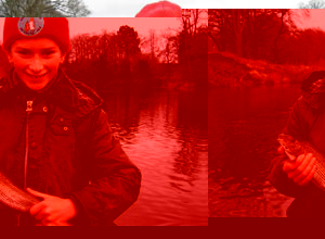 Unbranded Introduction to Grayling fishing (for two)