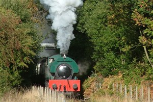 Unbranded Introductory Diesel Train Driving Experience in