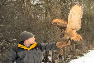 Unbranded Introductory Falconry