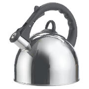 Unbranded Intwo Stove top kettle