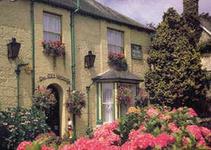 Cardboard jigsaw puzzle