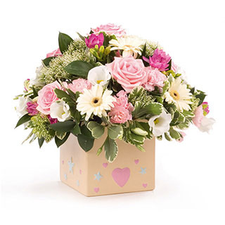 Unbranded Itand#39;s a Girl