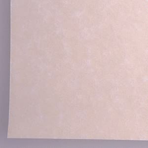 Ivory Parchment Card