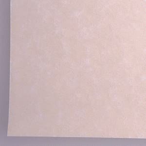 Ivory Parchment Card