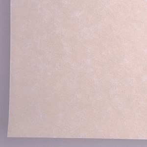 Unbranded Ivory Parchment Paper - 20 Pack