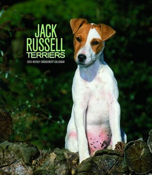 Jack Russell Weekly Engagement 2006 calendar