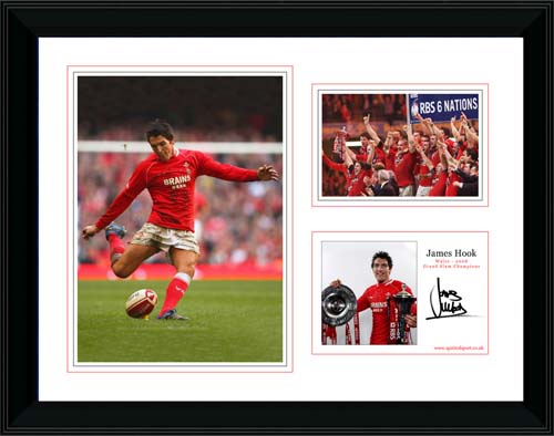 Unbranded James Hook - 2008 Grand Slam - Player profile presentation