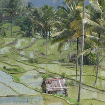 Head off the beaten track and discover the serene beauty of Bali’s stunning hinterland.