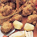 Unbranded Jerusalem Artichoke Fuseau Tubers