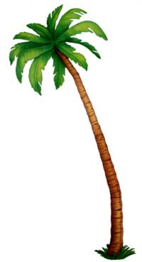 Create a tropical paradise with this cardboard cutout palm tree.   Add a couple of coconuts from