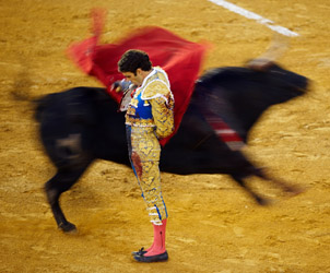 Unbranded Jose Tomas