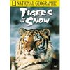 Unbranded Journeys With Wildlife - Tigers Of The Snow