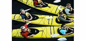Unbranded Kayak Melbourne - Moonlight Kayak Tour - Adult