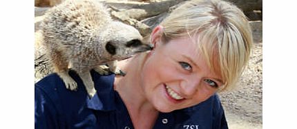 Unbranded Keeper for a Day at ZSL Whipsnade Zoo