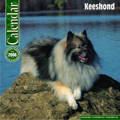 Keeshond Calendar