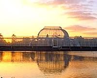 Kew Gardens Senior Ticket