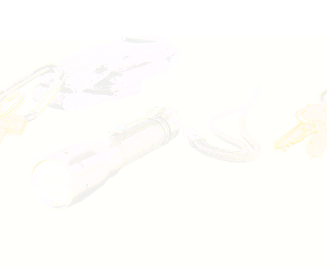 Unbranded Keyring Torch, Lifetime Guaranteed